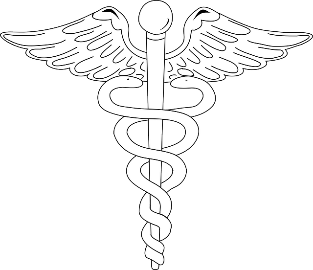 logo3.jpg logo3.jpg