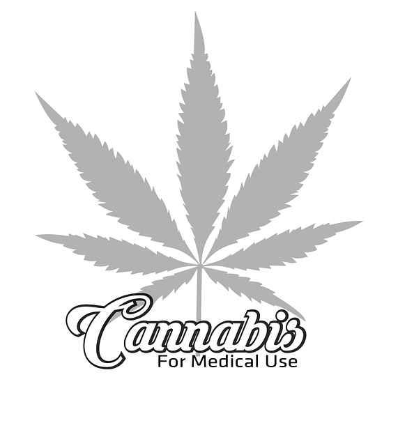 logo4.jpg logo4.jpg